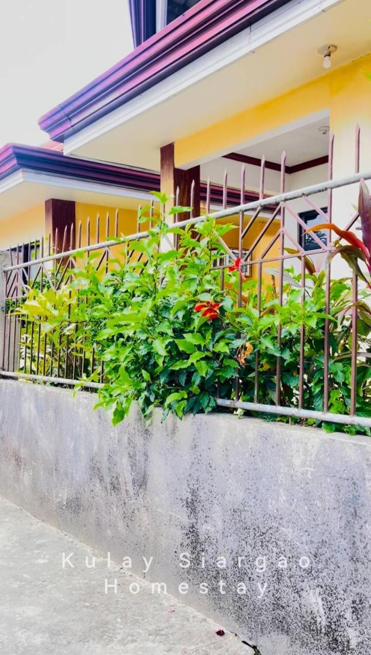 Ameeza Houze Homestay - Siargao Хенерал Луна Екстериор снимка